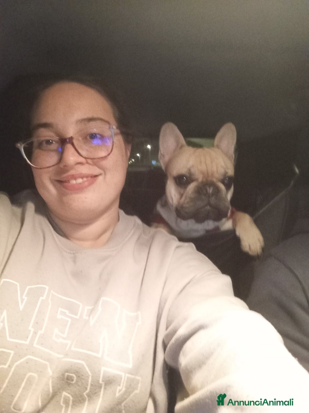 Bulldog Francese cani per accoppiamento: Cody Cerca Fidanzata a Provincia di Pavia - Immagine 3