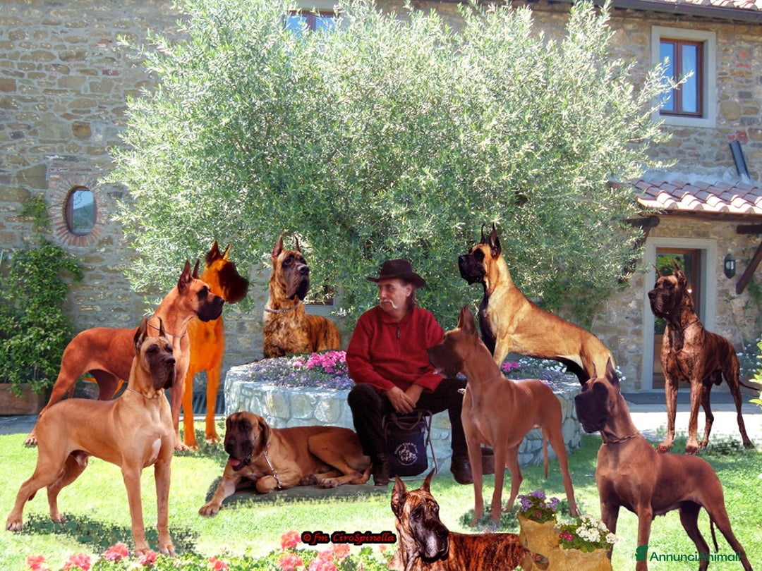 Immagine della galleria {{count}}