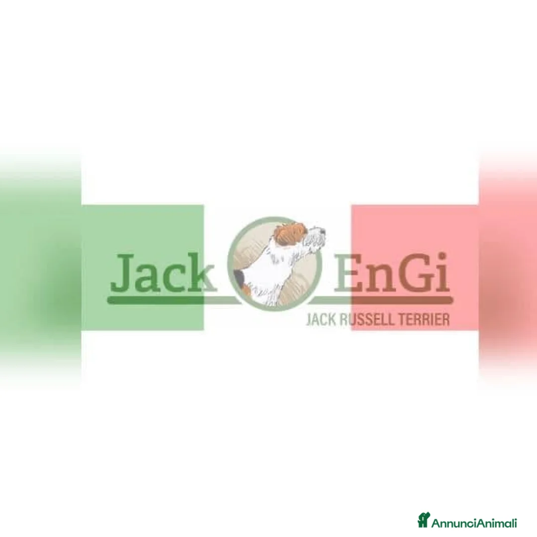 Immagine della galleria {{count}}