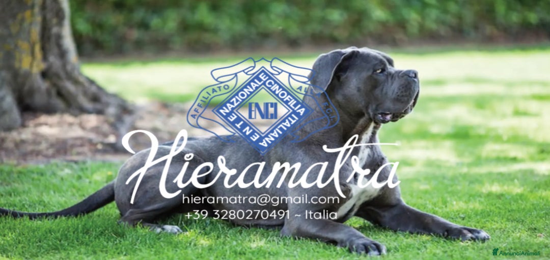 Immagine della galleria {{count}}