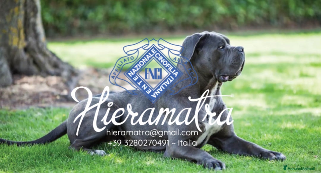 Immagine della galleria {{count}}