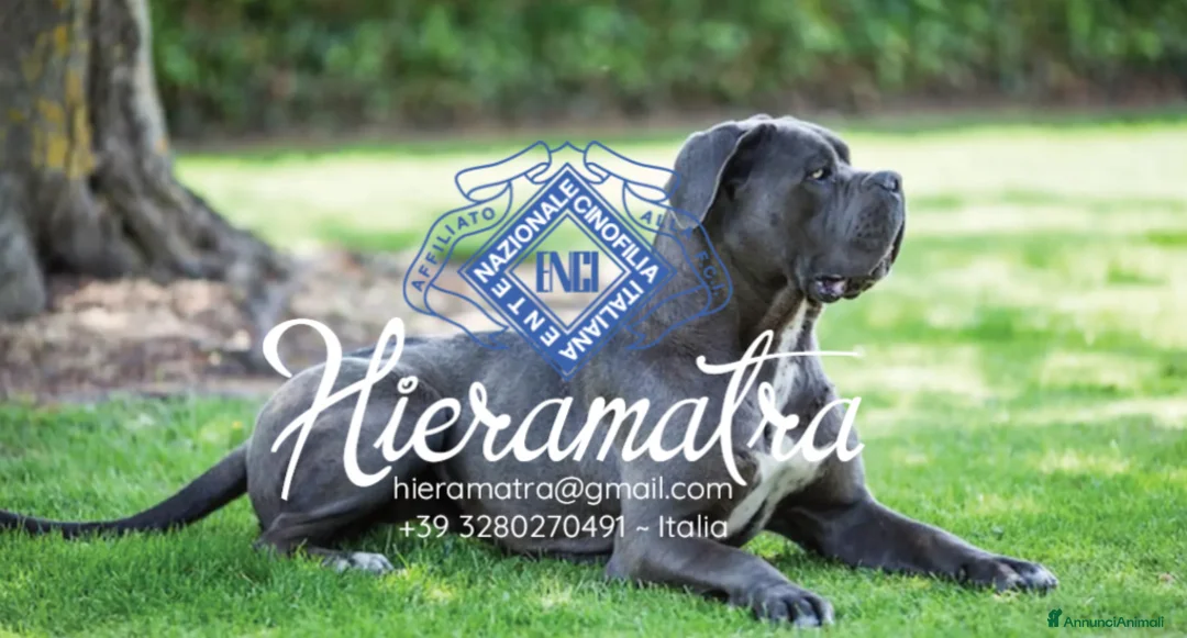 Immagine della galleria {{count}}