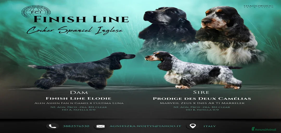 Immagine della galleria {{count}}