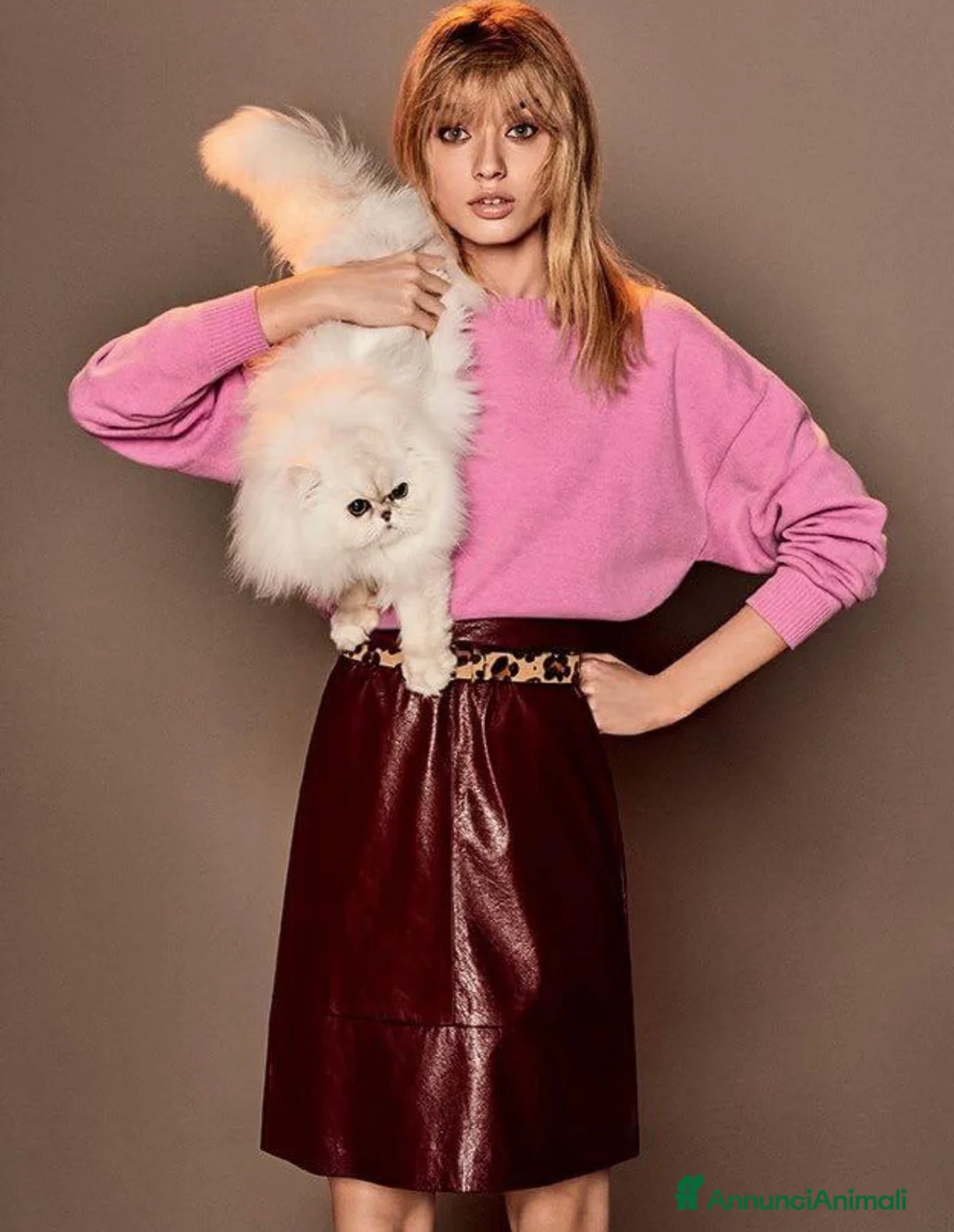 Immagine della galleria {{count}}