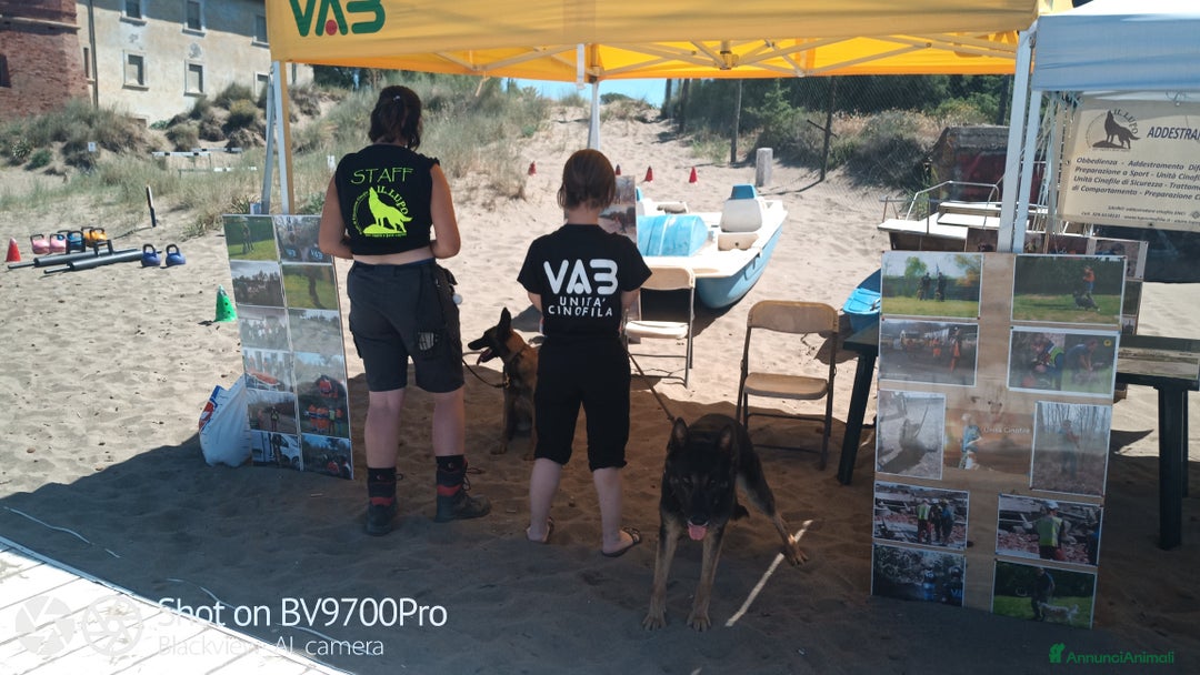 Immagine della galleria {{count}}