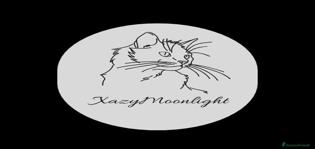 Immagine della galleria {{count}}