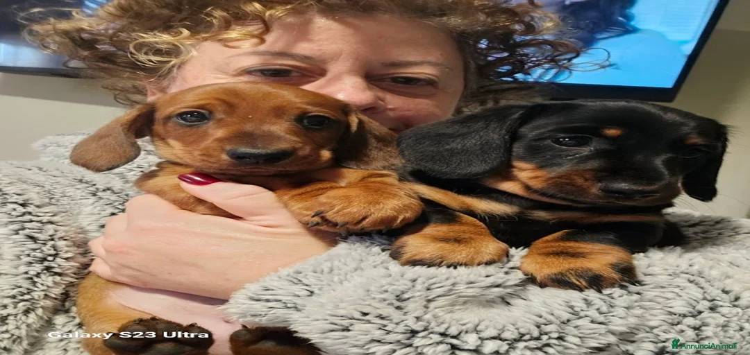 Immagine della galleria {{count}}