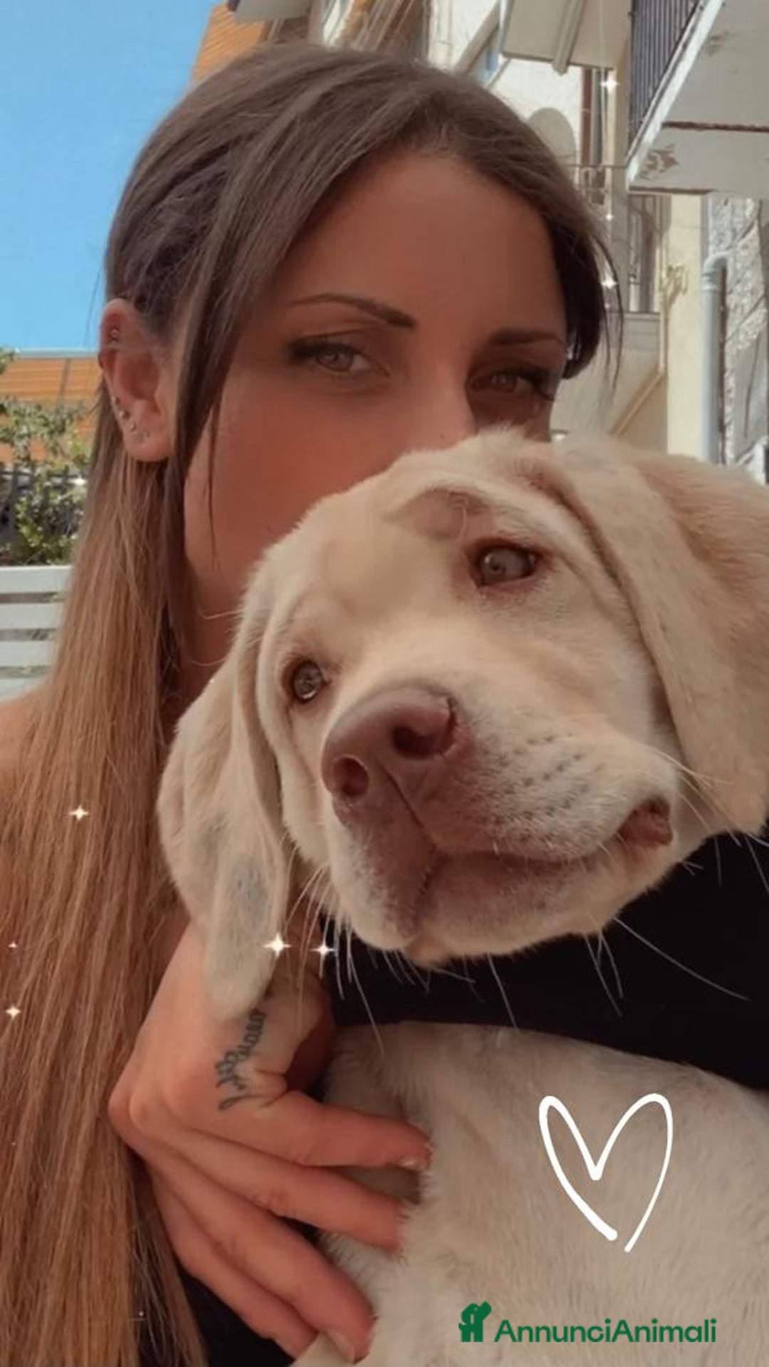 Labrador cani per accoppiamento: Seven cerca fidanzata.🐾🩵 - Annuncio 17