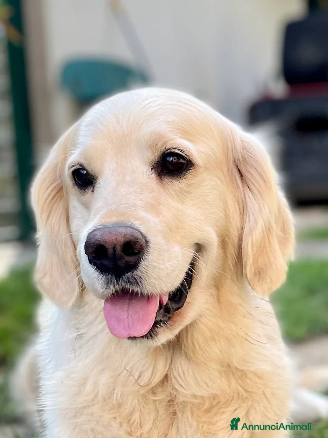 Immagine della galleria {{count}}