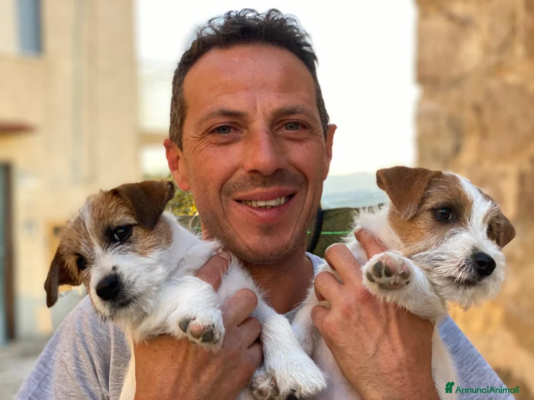 Immagine della galleria {{count}}