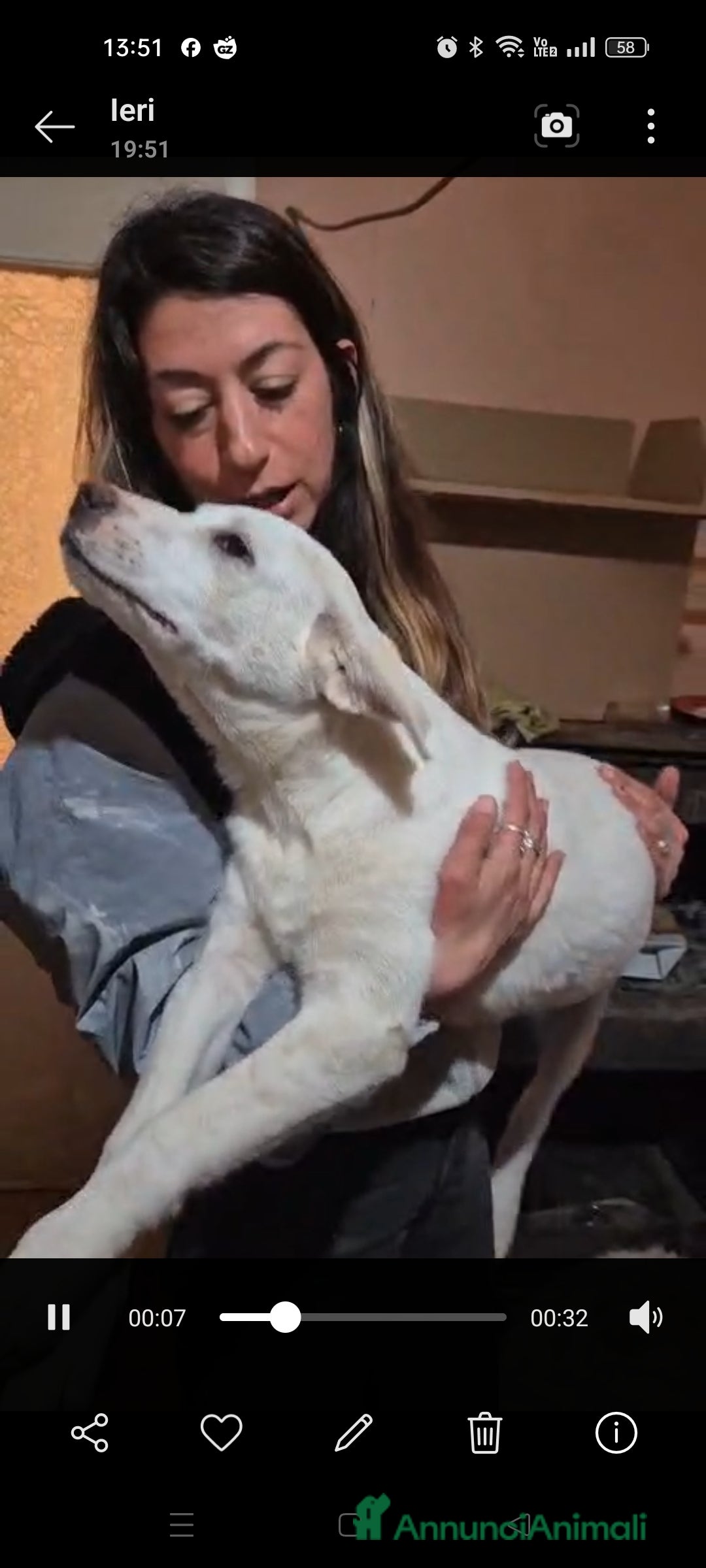 Meticcio cani Doria  - Annuncio 36