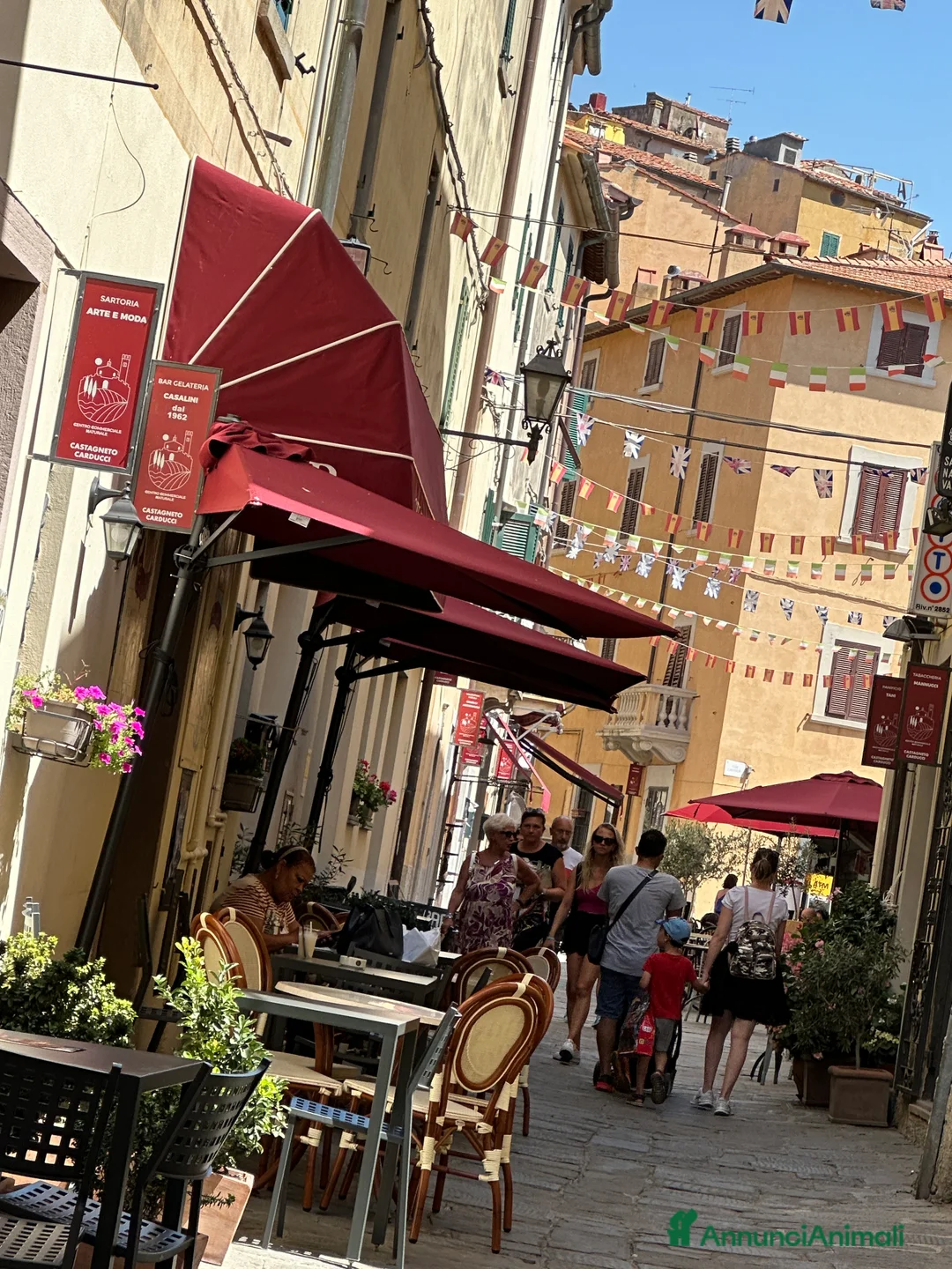 Immagine della galleria {{count}}