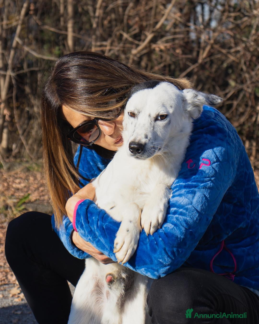 Altre razze cani in regalo: ercolino - Annuncio 2