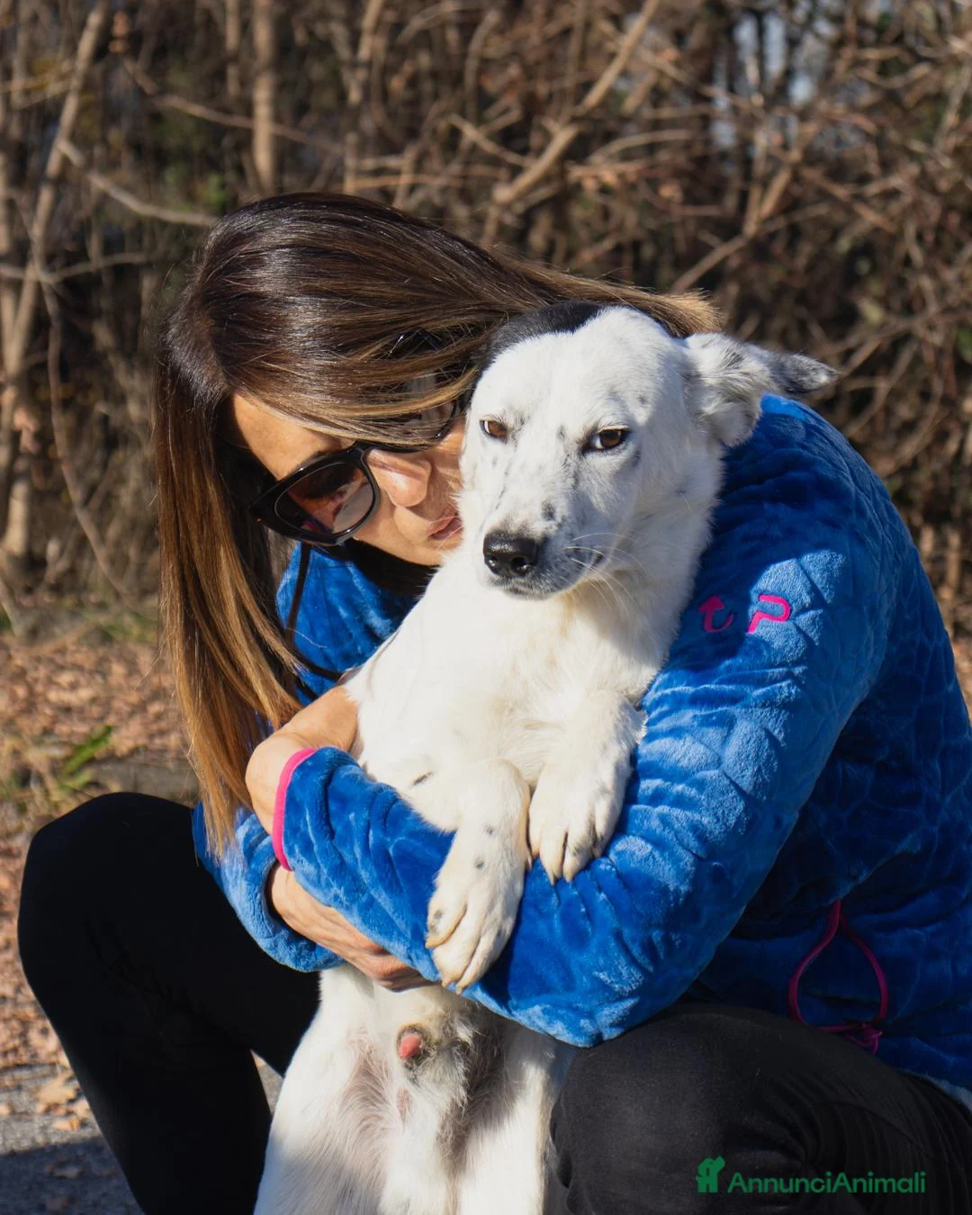 Altre razze cani in regalo: ercolino - Annuncio 2