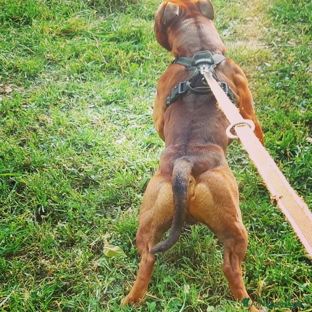 Immagine della galleria {{count}}