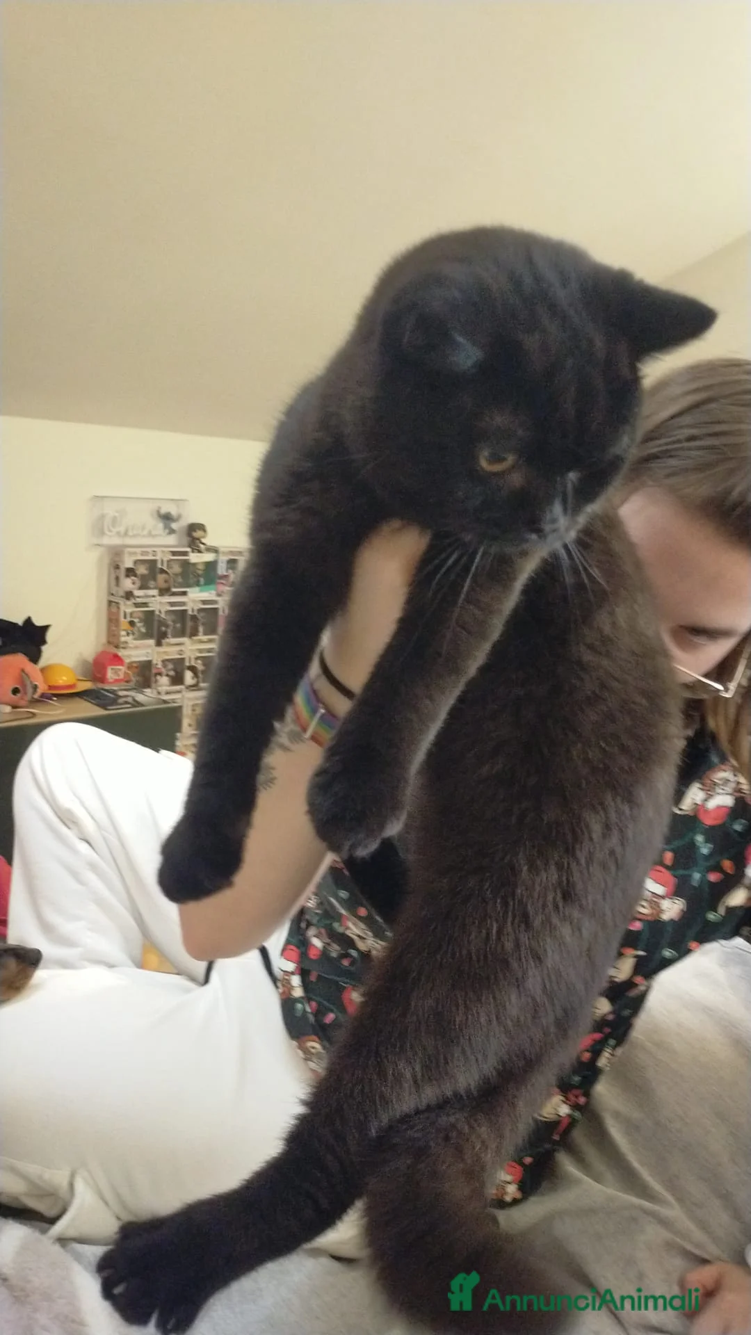 Immagine della galleria {{count}}