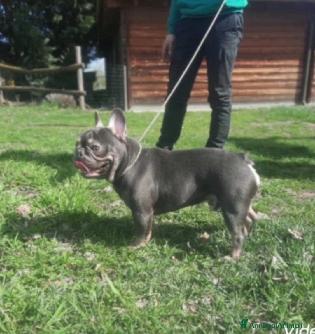 Immagine della galleria {{count}}