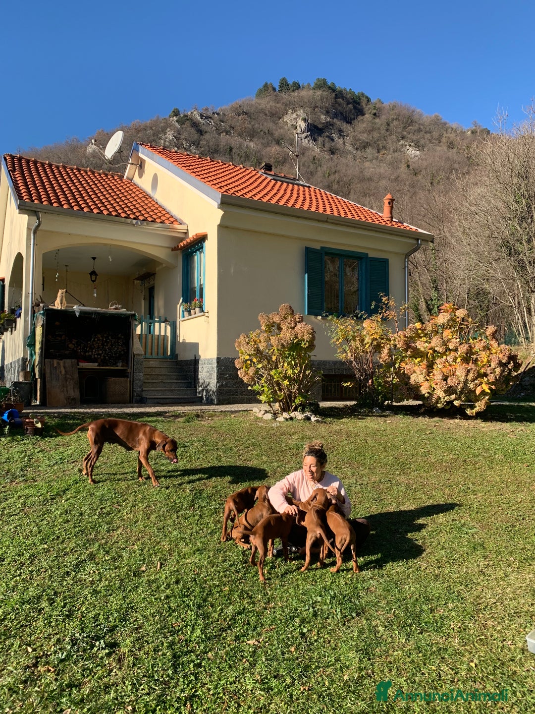 Immagine della galleria {{count}}