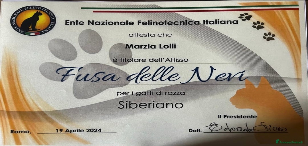 Immagine della galleria {{count}}