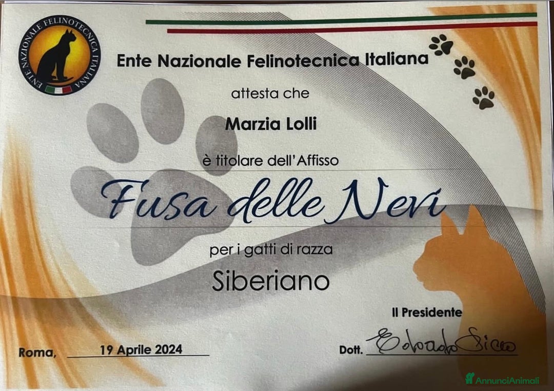 Immagine della galleria {{count}}