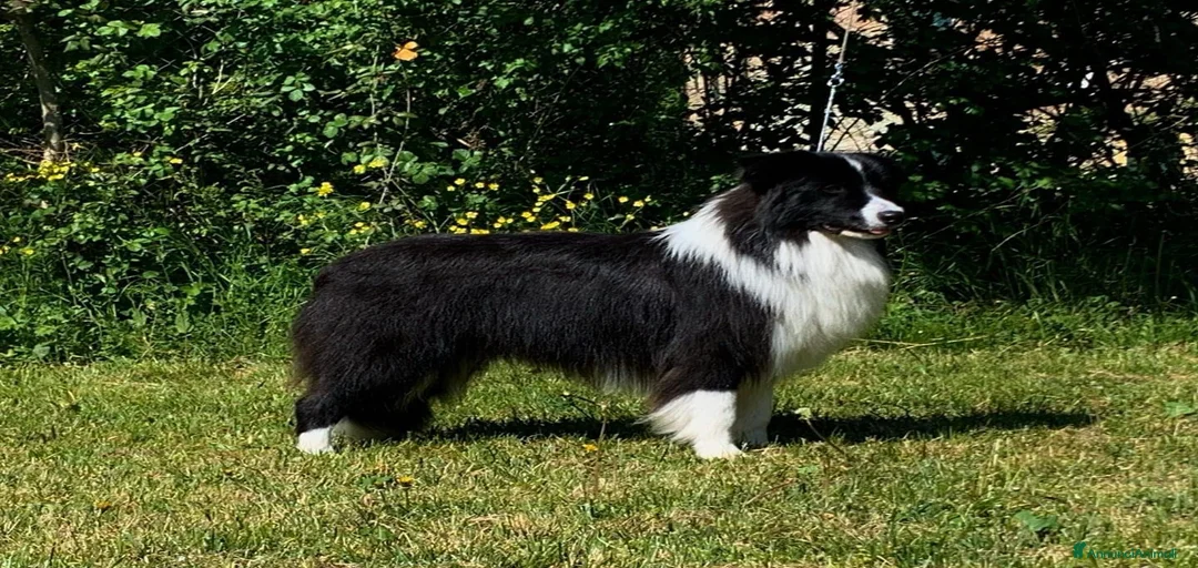 Immagine della galleria {{count}}