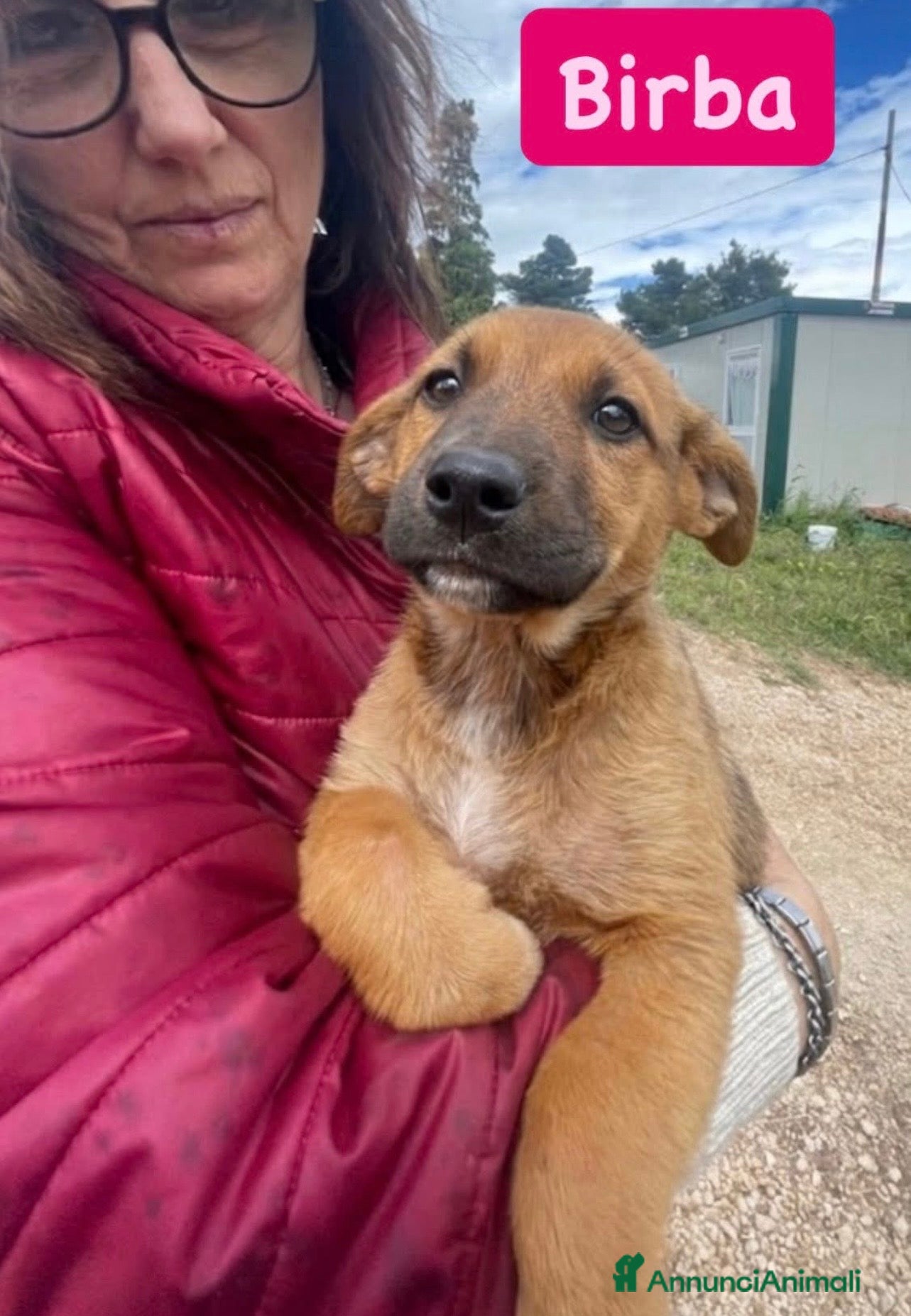 Meticcio cani Birba dolcissima cucciola taglia medio piccola  - Annuncio 26