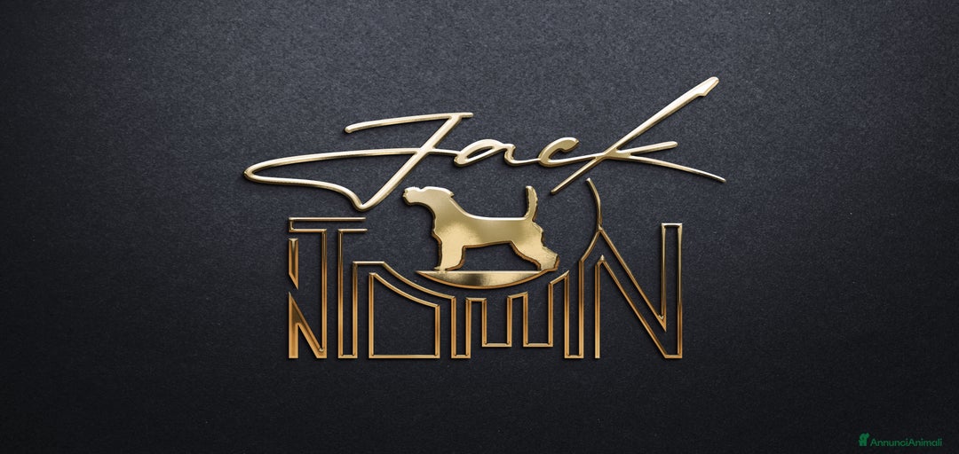 Immagine della galleria {{count}}