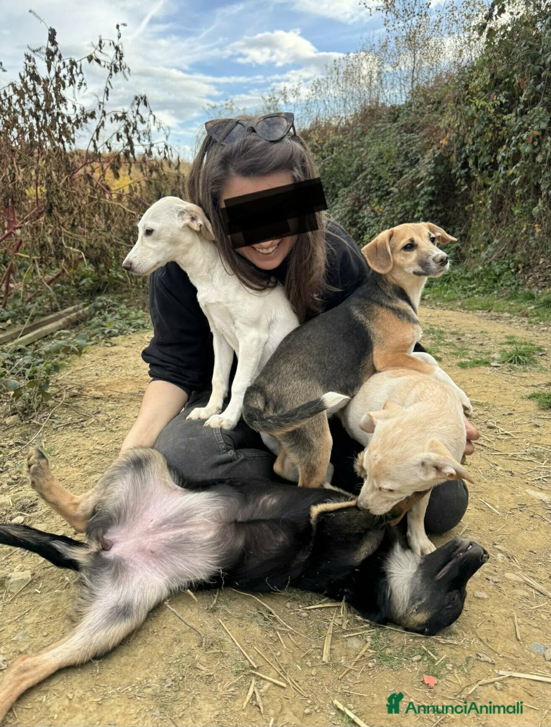 Meticcio cani in regalo: 6 CUCCIOLI NANETTI cercano coccole! - Annuncio 6