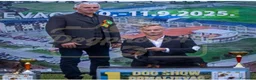 Bassotto cani in vendita: Bassotti nani pelo corto - Annuncio 8