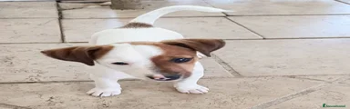 NANO