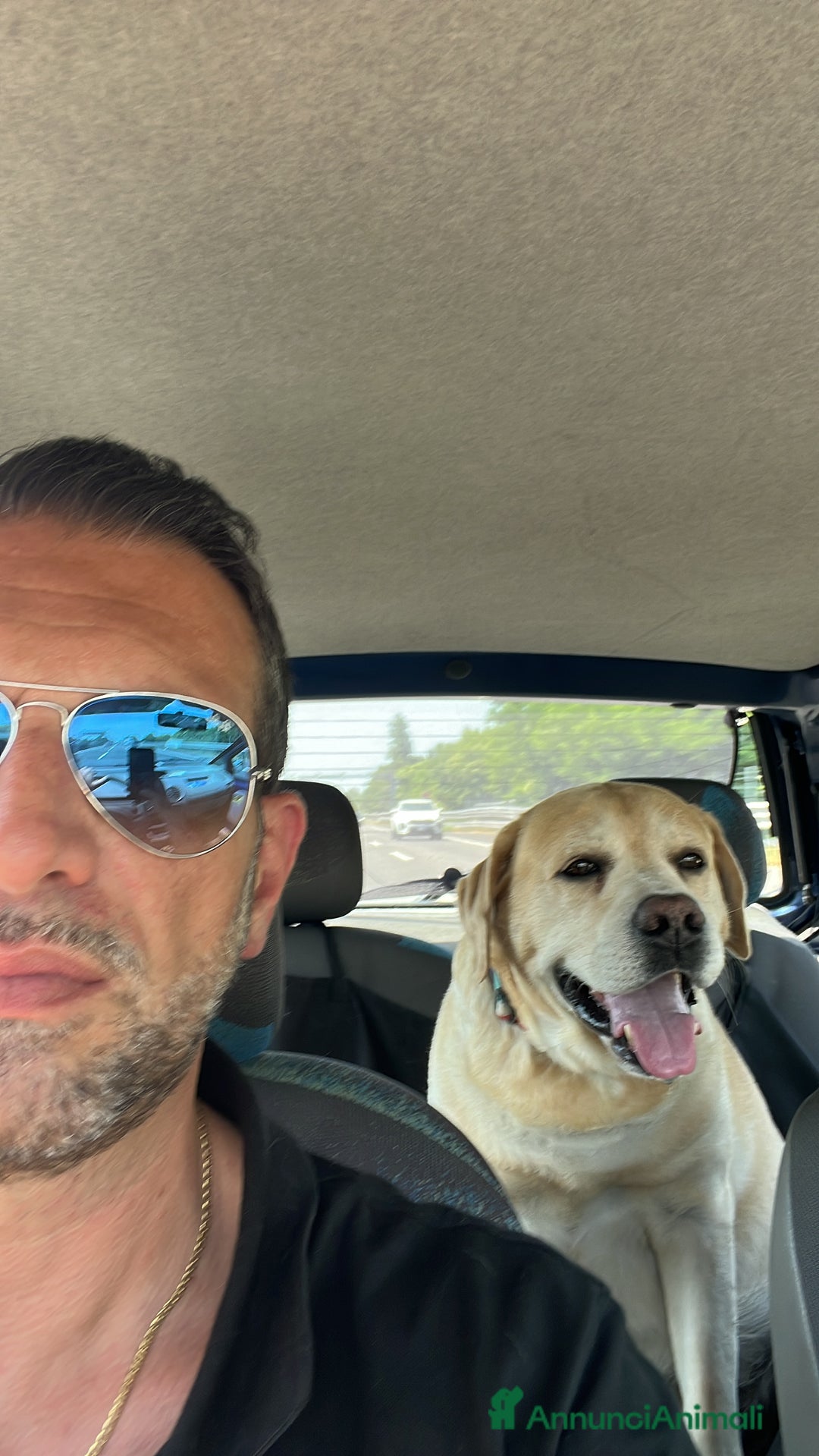 Immagine della galleria {{count}}