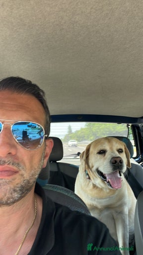 Immagine della galleria {{count}}