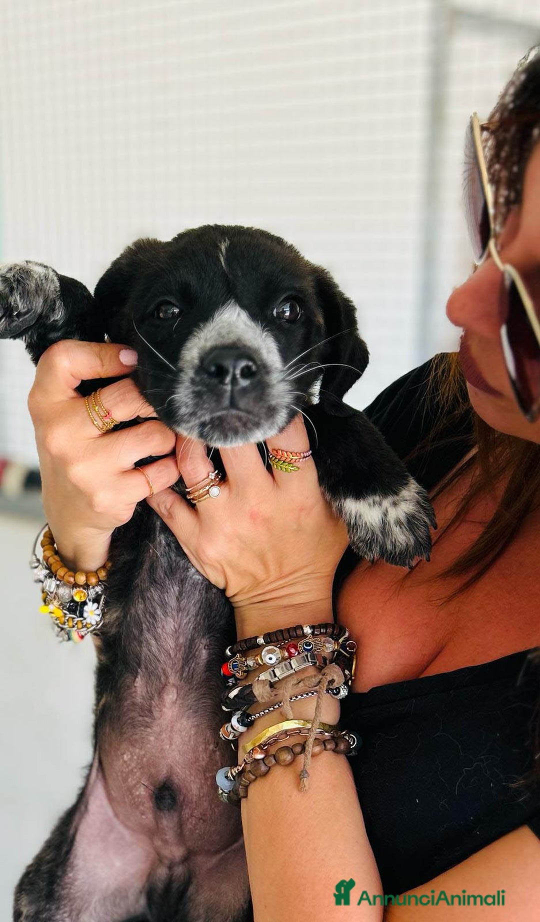 Altre razze cani in regalo: NERINO E BIANCHINO - Immagine 2