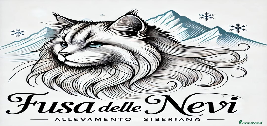 Immagine della galleria {{count}}