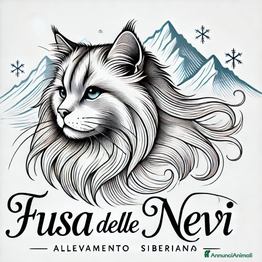 Immagine della galleria {{count}}