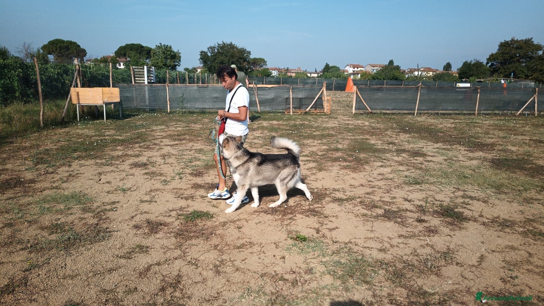 Immagine della galleria {{count}}