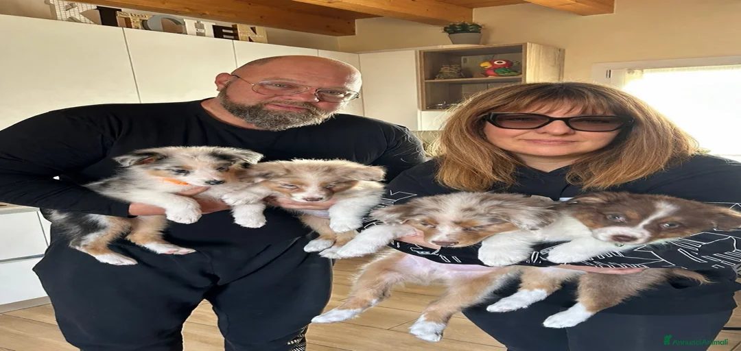 Immagine della galleria {{count}}