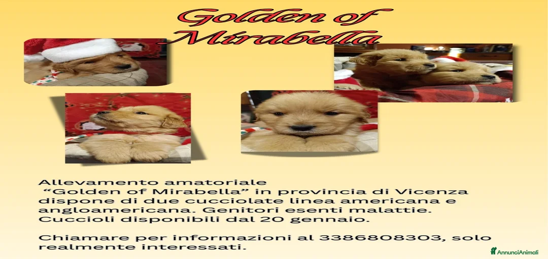 Immagine della galleria {{count}}