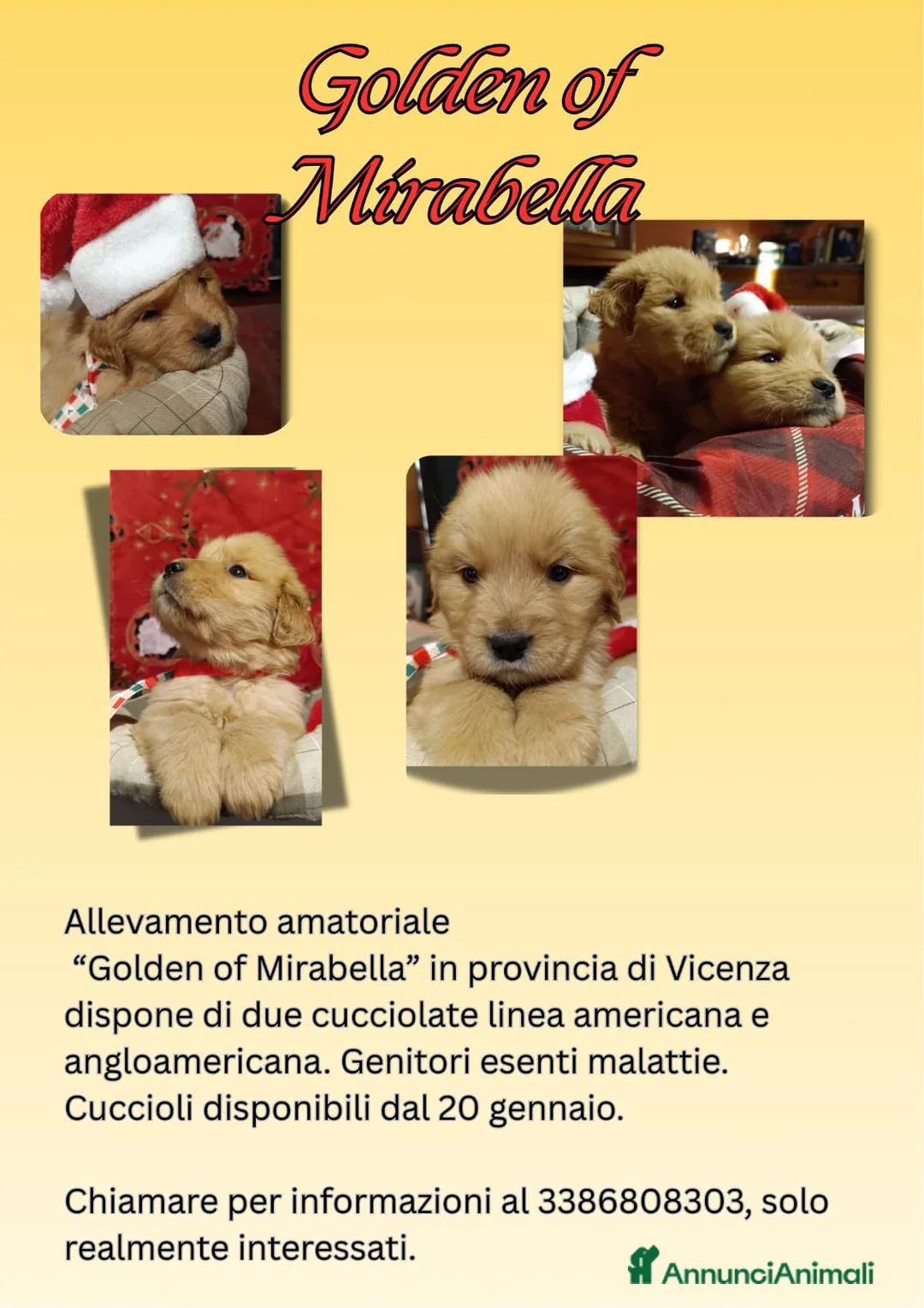 Immagine della galleria {{count}}