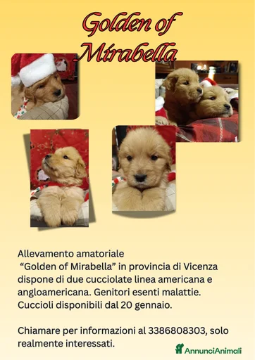 Immagine della galleria {{count}}