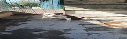 Meticcio cani in regalo: Biancavilla in canile a Catania - Annuncio 7