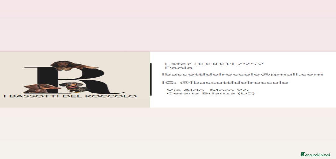 Immagine della galleria {{count}}