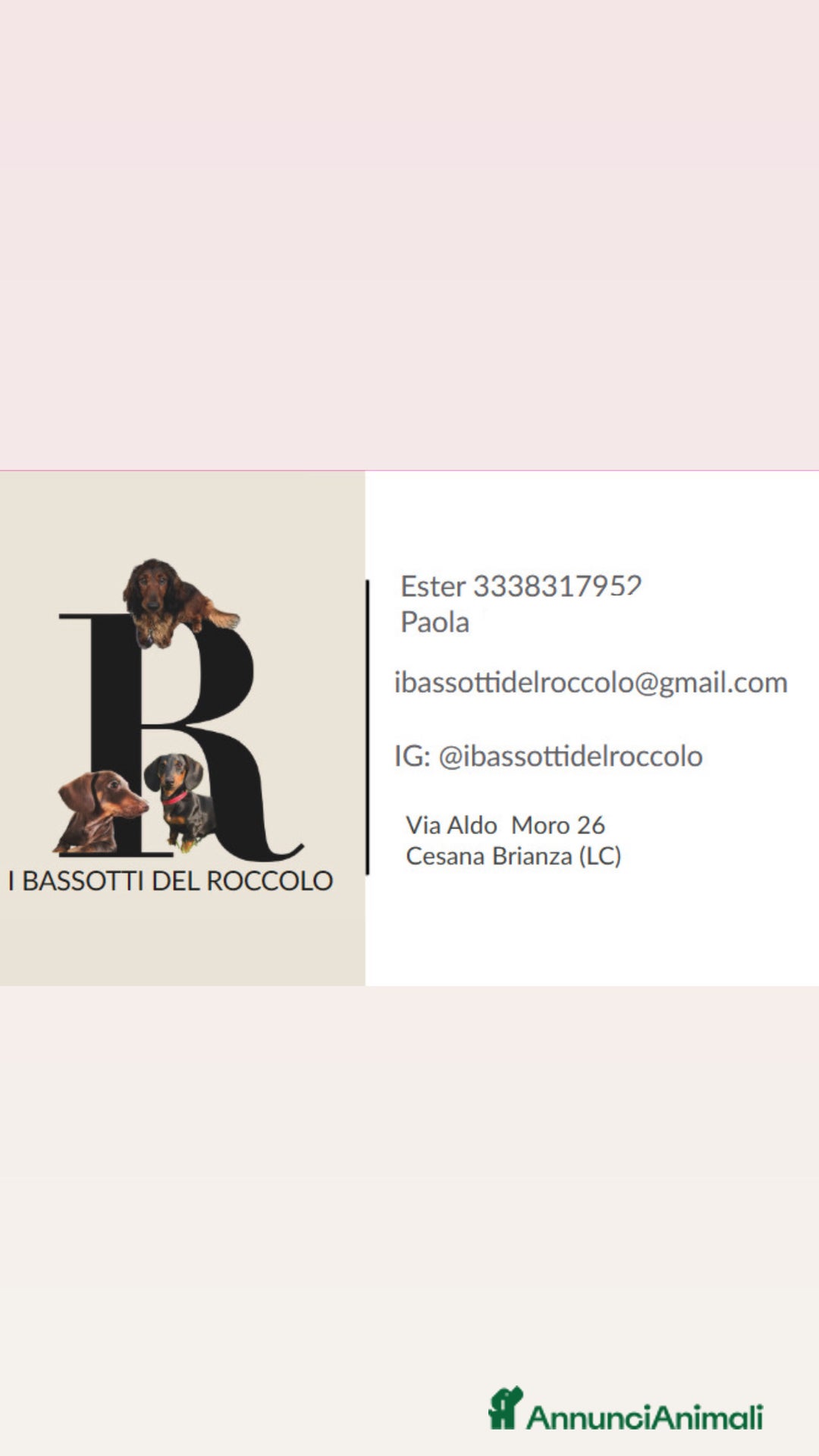 Immagine della galleria {{count}}