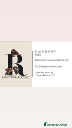 Immagine della galleria {{count}}