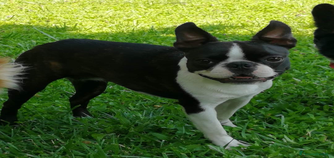 Immagine della galleria {{count}}