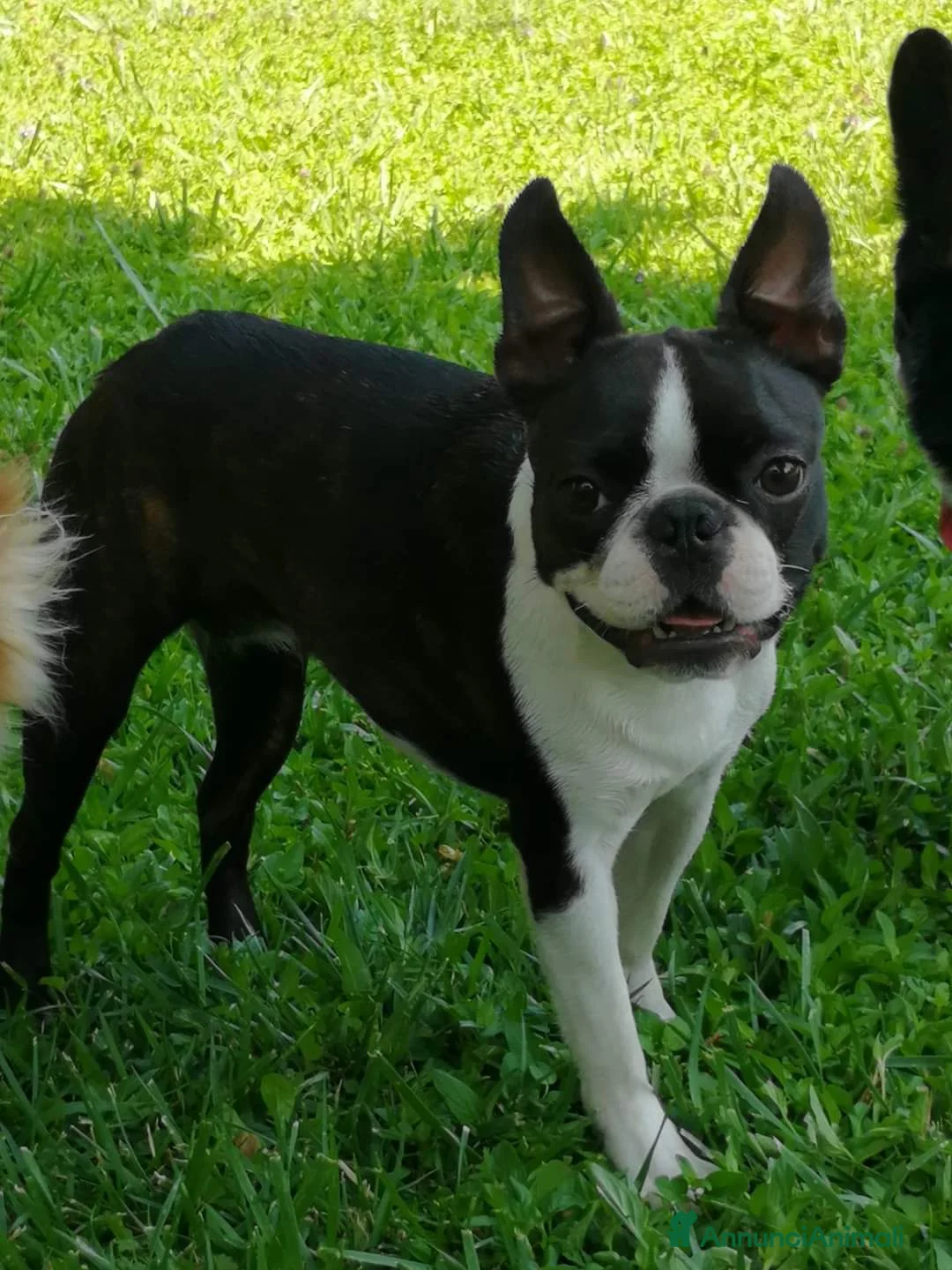 Immagine della galleria {{count}}