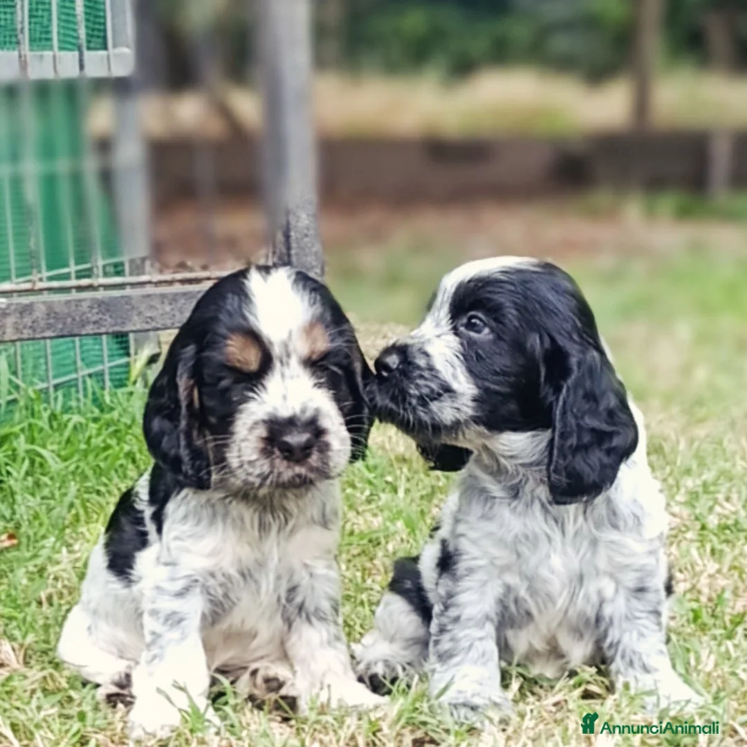 Immagine della galleria {{count}}