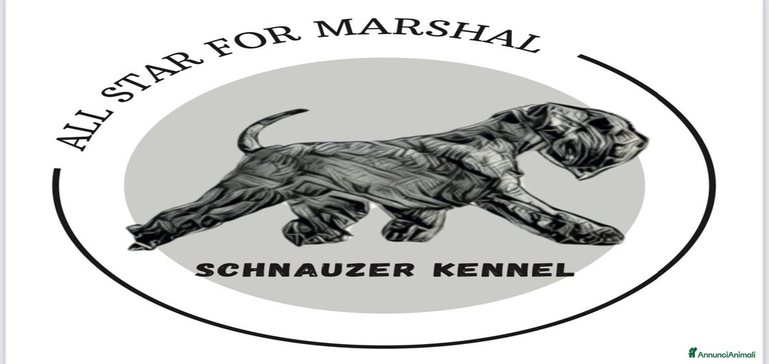 Immagine della galleria {{count}}