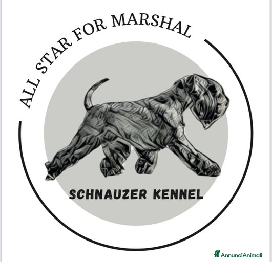 Immagine della galleria {{count}}