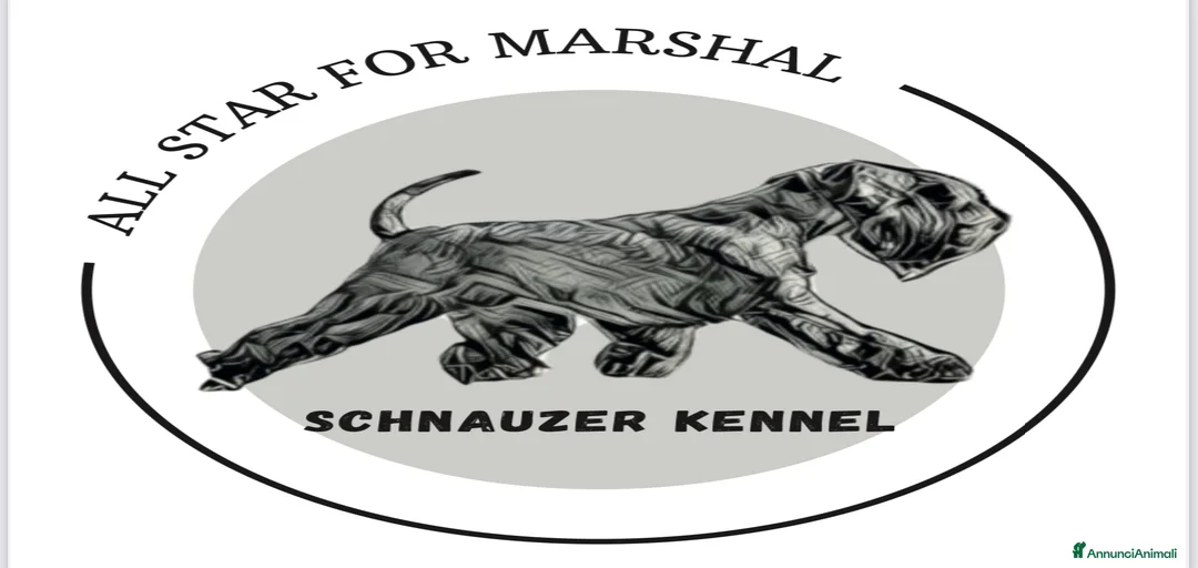 Immagine della galleria {{count}}